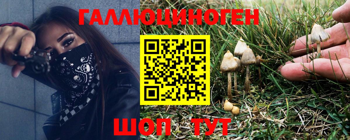 Псилоцибиновые грибы ЛСД Киров
